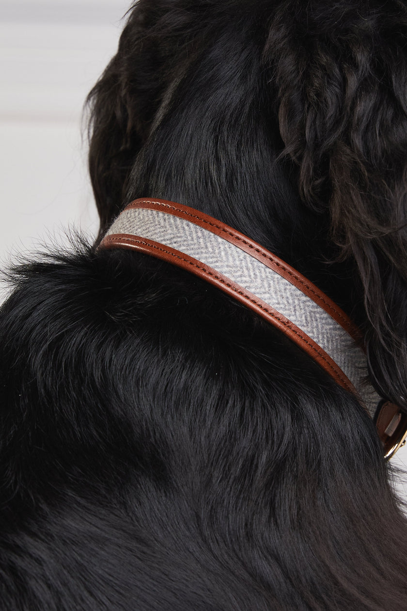 HC Classic Dog Collar (Chestnut & Tweed)