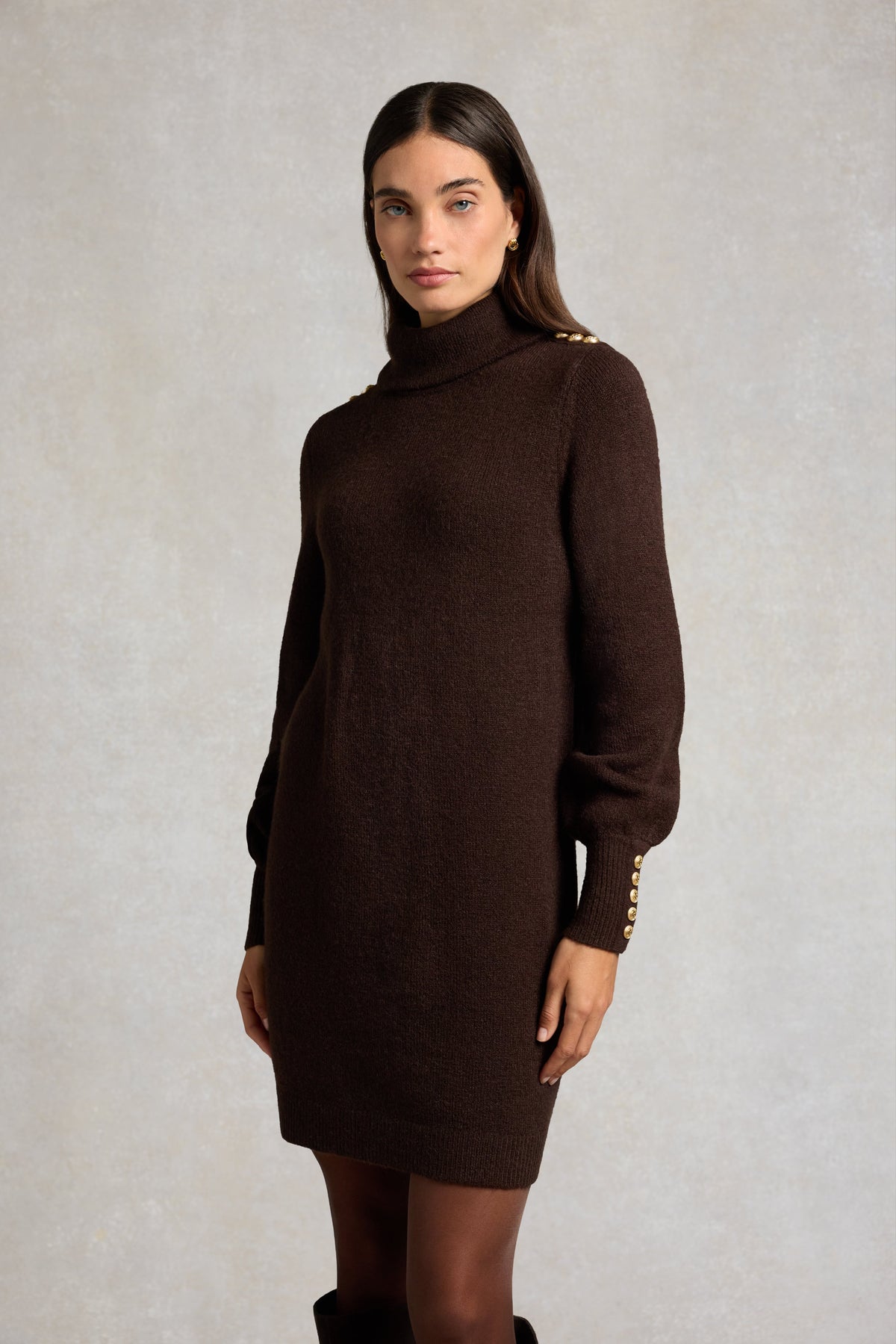 Berkeley Roll Neck Mini Dress (Chocolate)