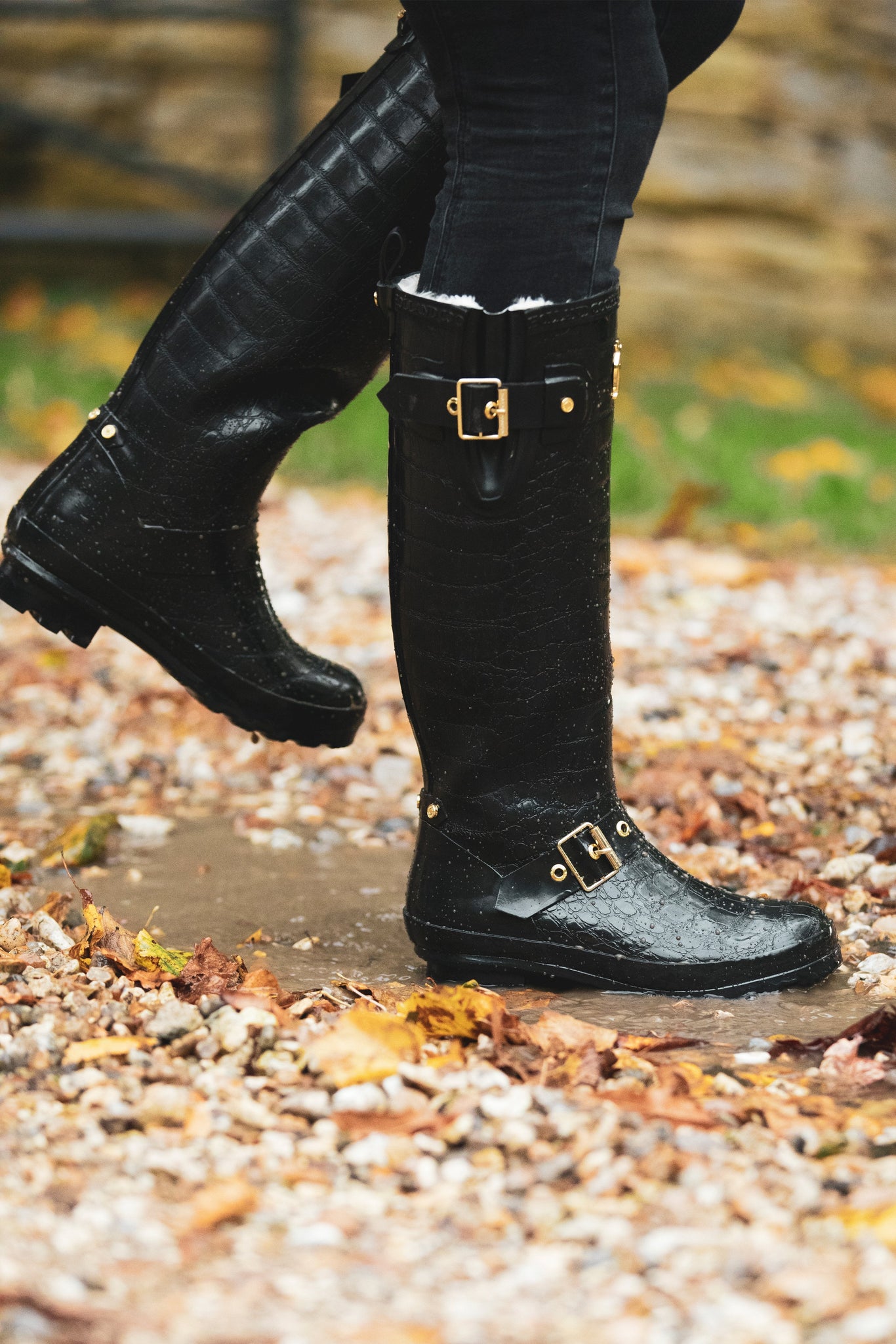 Sherpa Lined Regency Wellington (Black Croc)