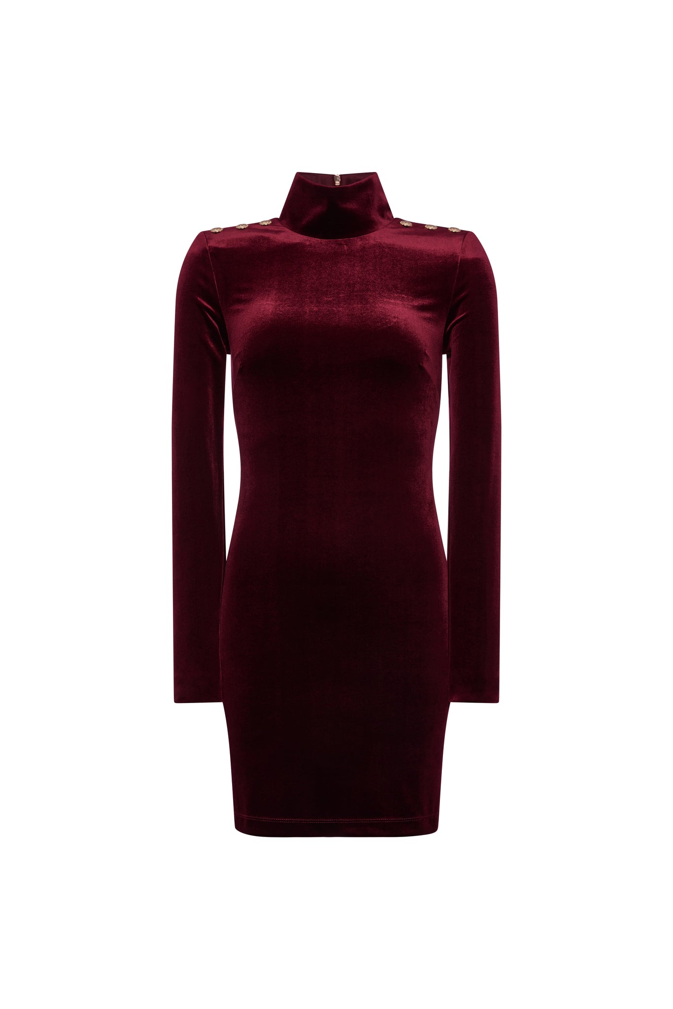Cara Velvet Mini Dress (Burgundy)