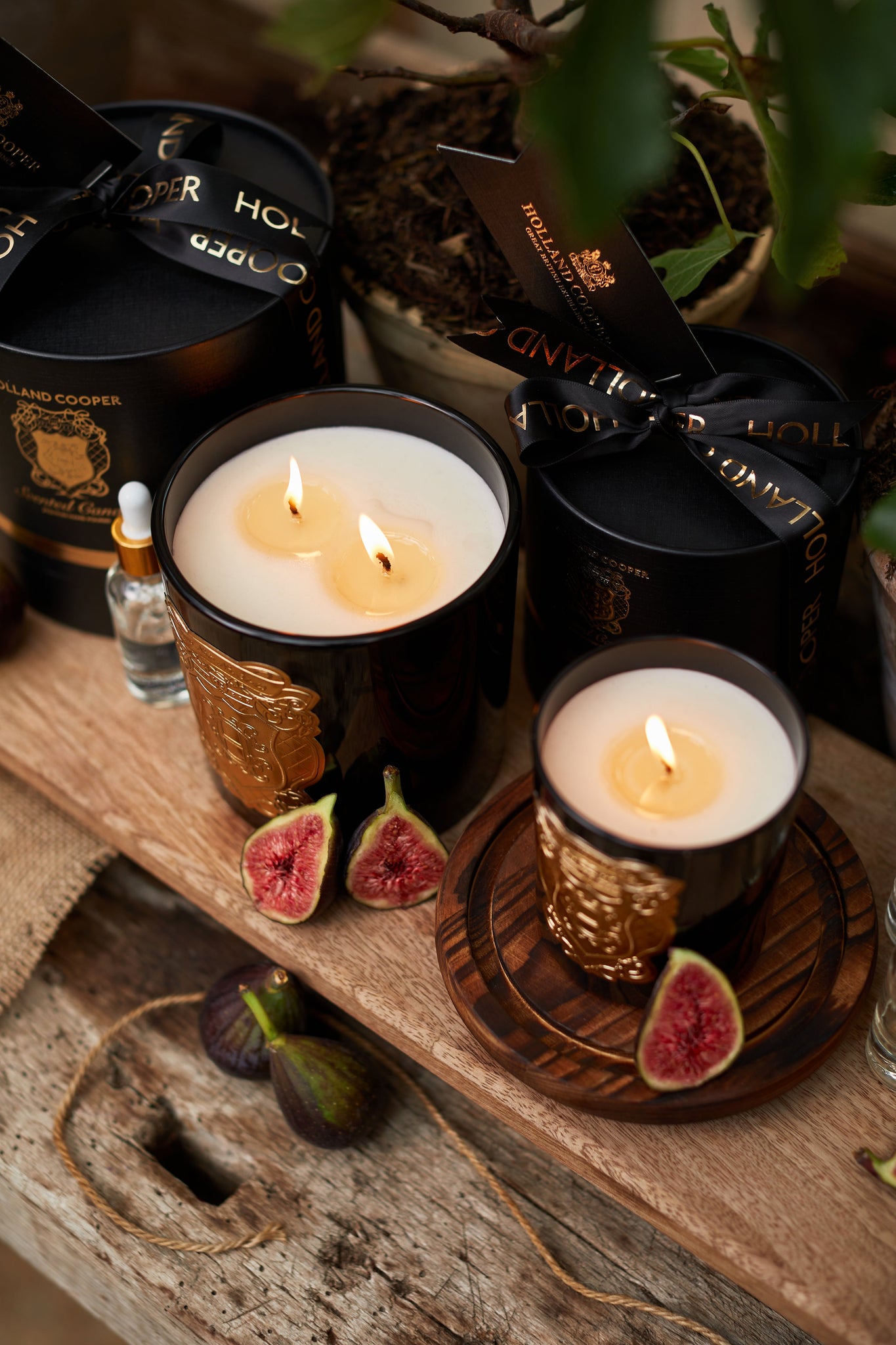 Double Wick Candle (Figue Noir)