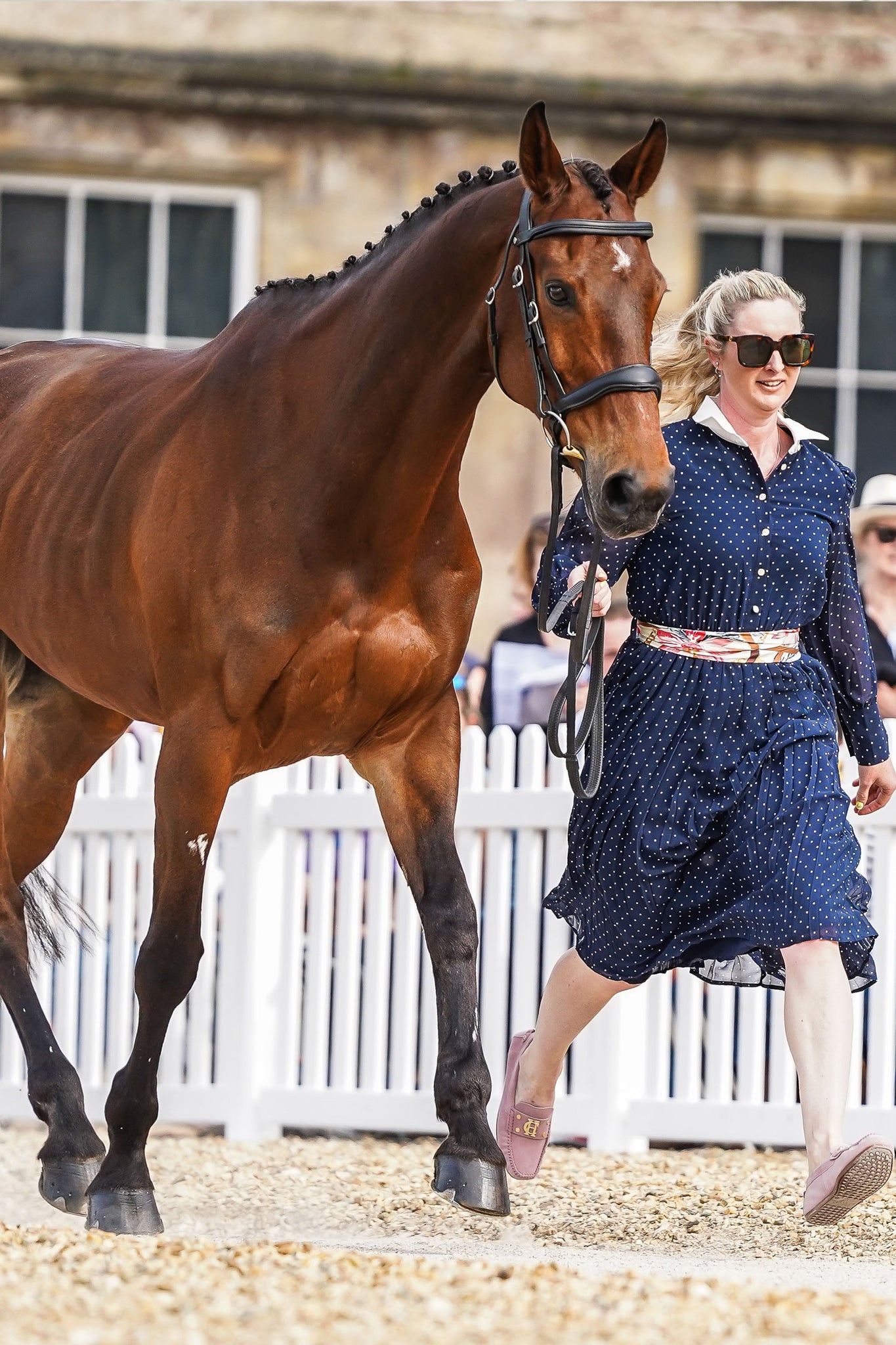 Georgie Goss' Trot Up Look One