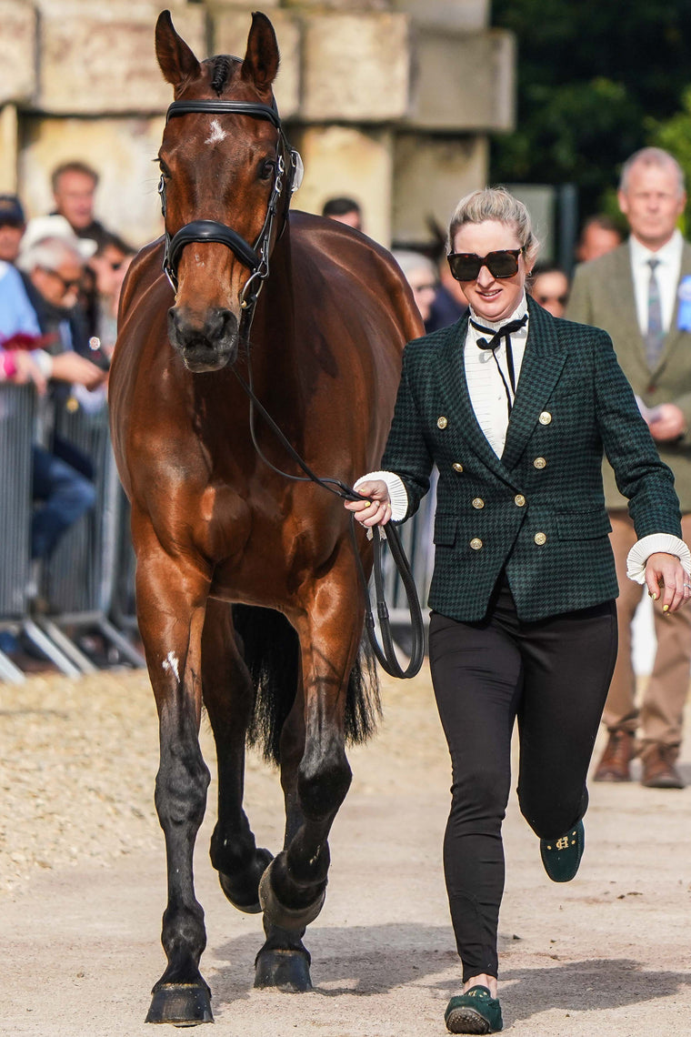 Georgie Goss' Trot Up Look Two