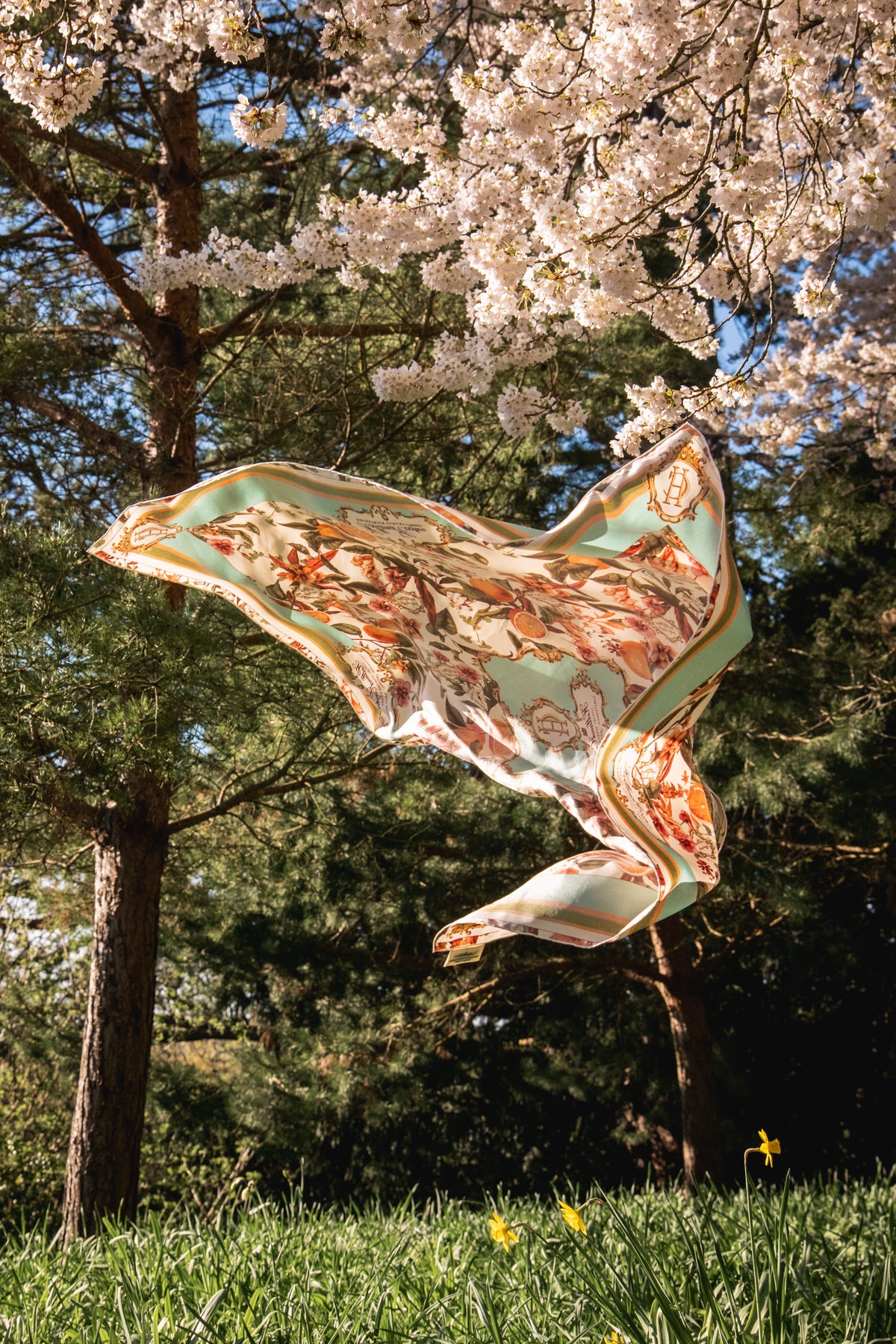 Silk Scarf (The Orangery)