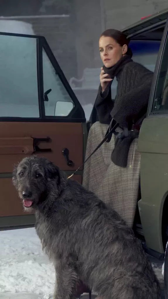 videowise-widget-665737648ed70b002840843a-14999355064696