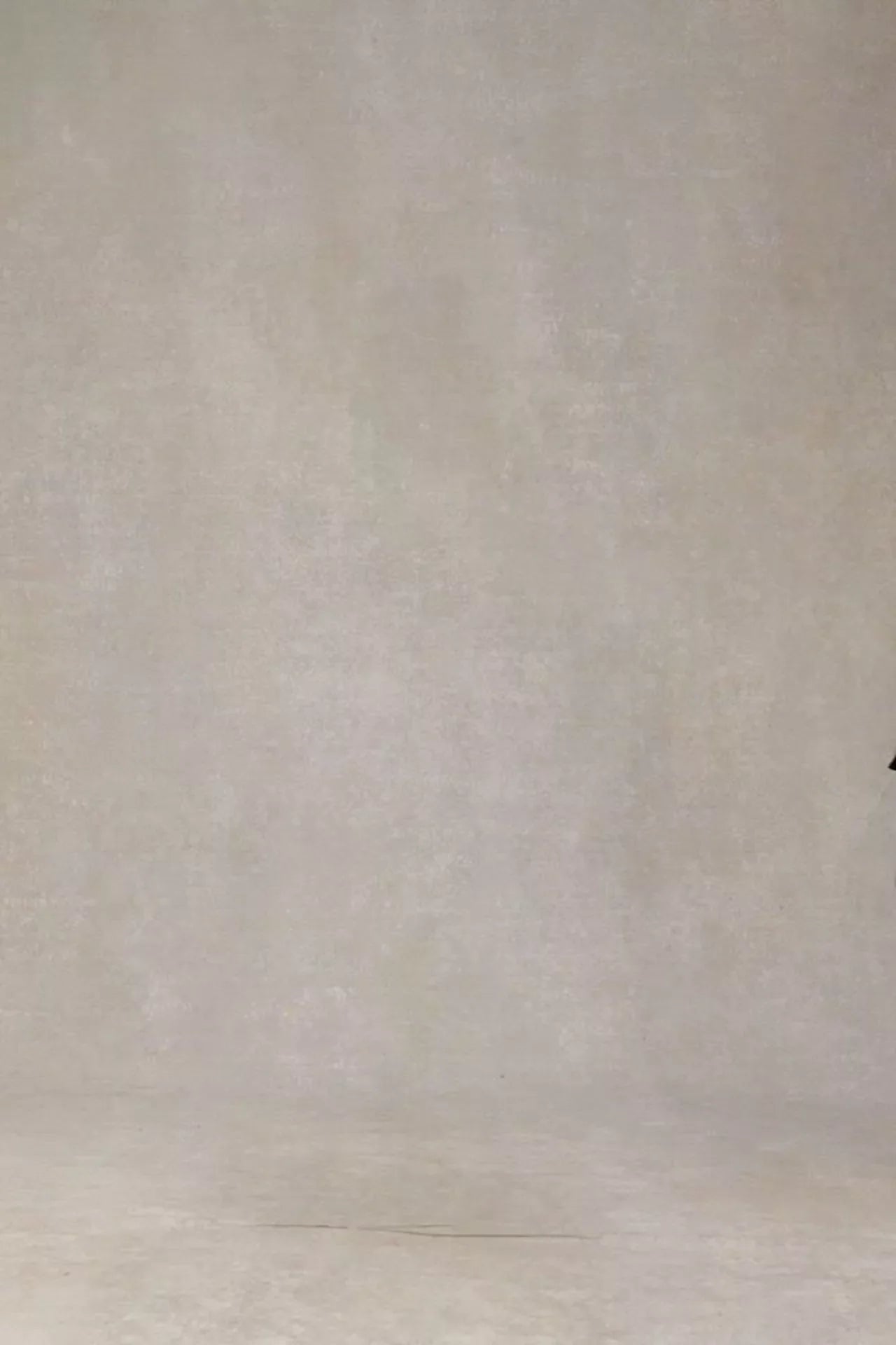 videowise-widget-66bdd17081916c0028a554c5-15430197444986