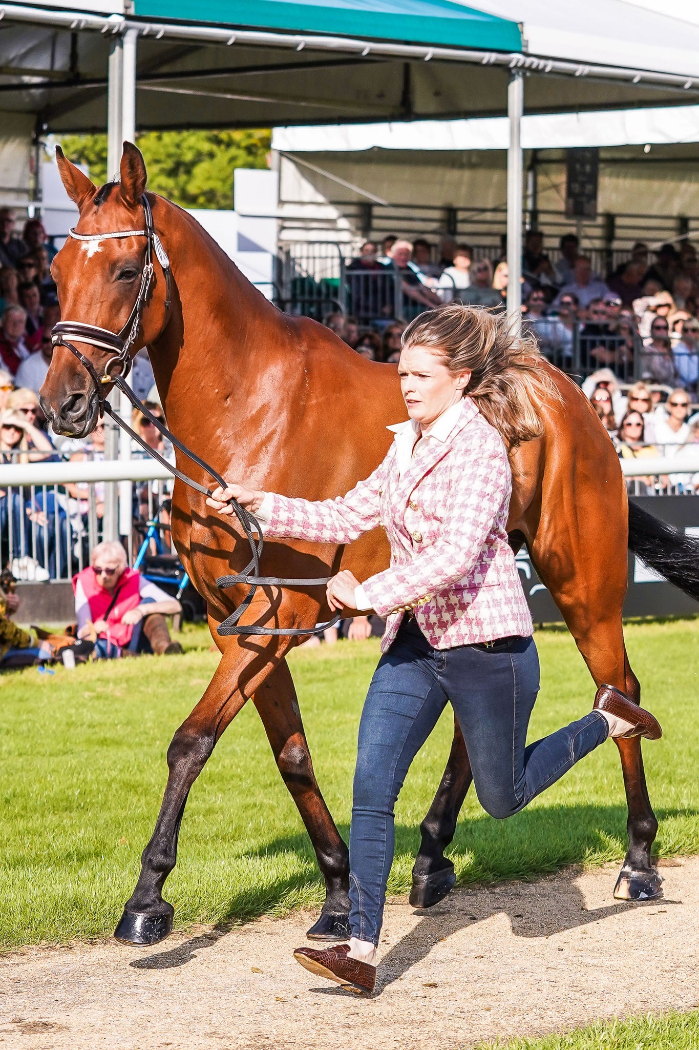 Julia Norman's Trot Up Look One